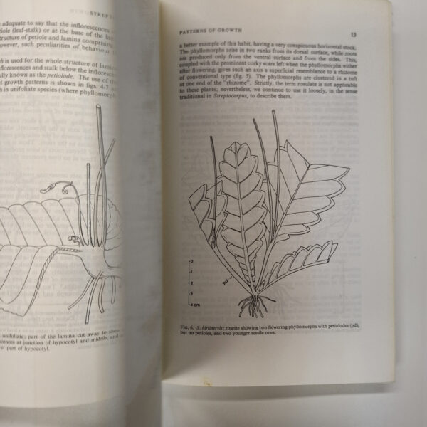 20250430_083202 Streptocarpus: An African Plant Study – Hilliard Et Al secondhand book