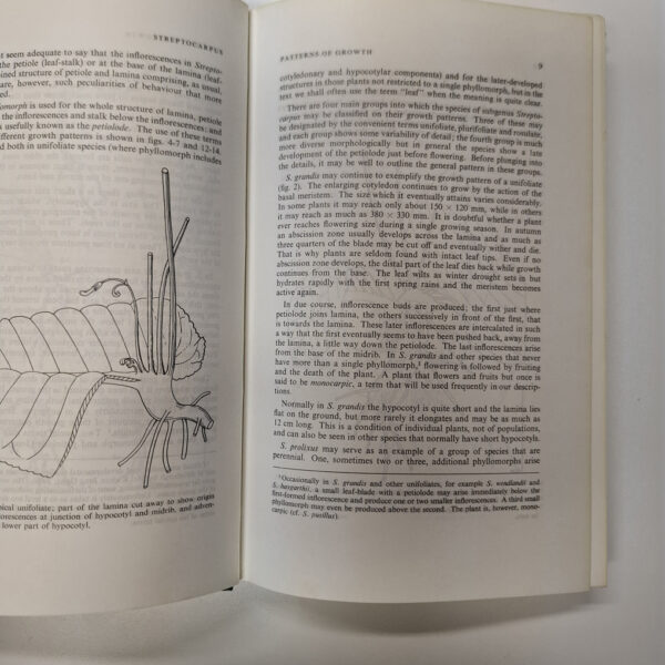 20250430_083203 Streptocarpus: An African Plant Study – Hilliard Et Al secondhand book