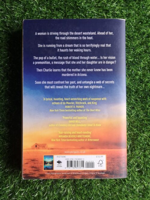 The Shimmering Road – Hester Young secondhand book