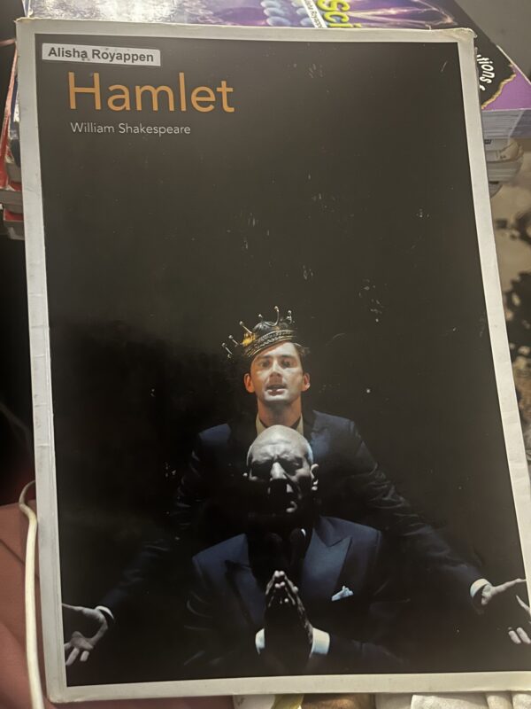 Hamlet Grade 12 HL Drama secondhand book