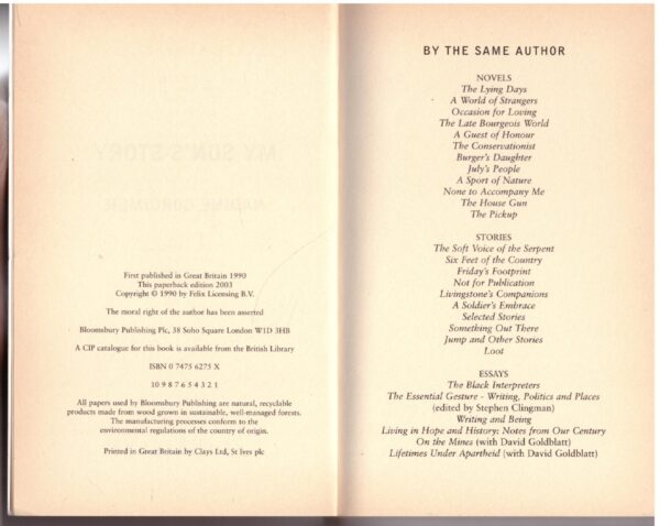My Son's Story - Nadine Gordimer