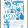New Contrast 106 - Volume 27, No 2, June 1999