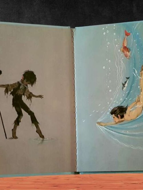 The Water Babies – Charles Kingsley secondhand book