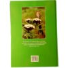 Reader's Digest Spectacular World Of Southern African Birds