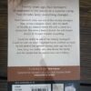 The Woods – Harlan Coben secondhand book