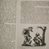 Mafikeng Road And Other Stories - Herman Charles Bosman