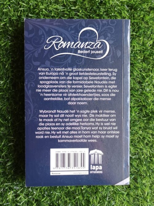 Tussen Glas En Vag – Rina Cilliers secondhand book