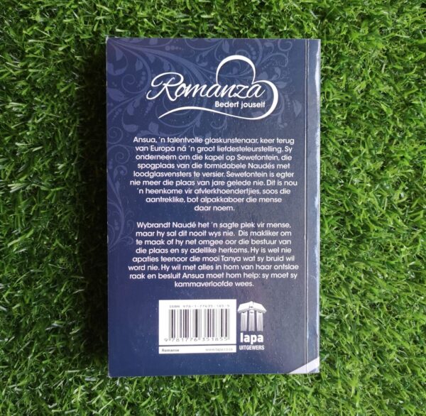 Tussen Glas En Vag – Rina Cilliers secondhand book