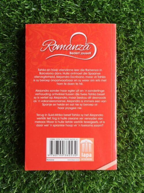 Dans Met ‘n Stiervegter – Trudy Reinhardt secondhand book