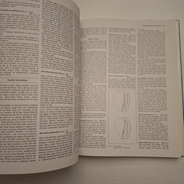 Sea Shells Of Southern Africa - Richard Kilburn & Elizabeth Rippey
