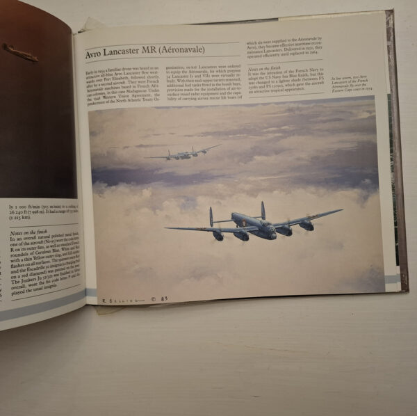 A Portrait Of Military Aviation In South Africa - Ron Belling