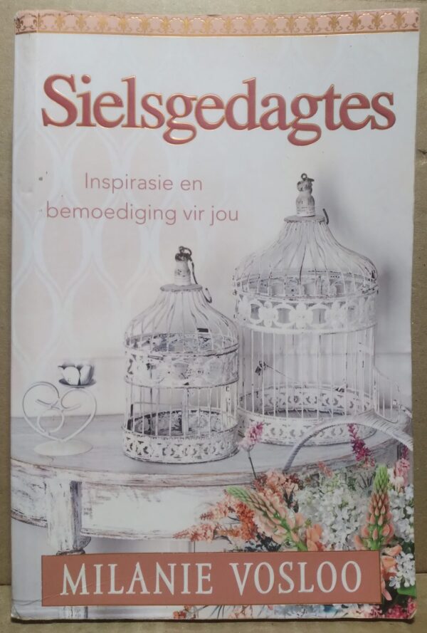 Sielsgedagtes - Melanie Vosloo