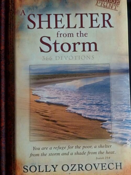 A Shelter From The Storm - Solly Ozrovech