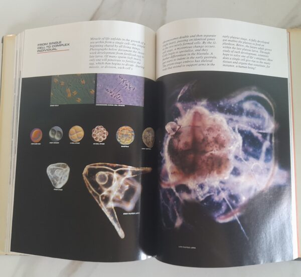 On The Brink Of Tomorrow: Frontiers Of Science – Various secondhand book