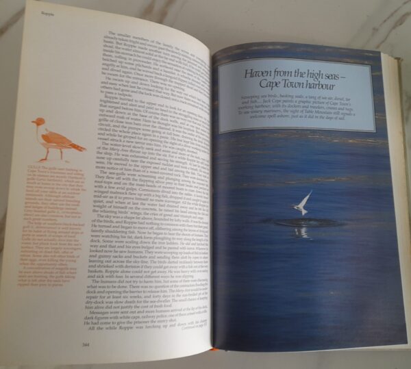 The Best of South African Short Stories – The Reader’s Digest Association SA secondhand book