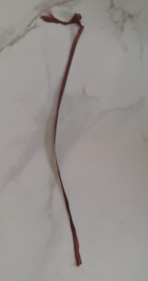 The Best of South African Short Stories – The Reader’s Digest Association SA secondhand book