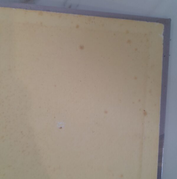 Reader’s Digest Illustrated Guide To Southern Africa – T. V. Bulpin secondhand book