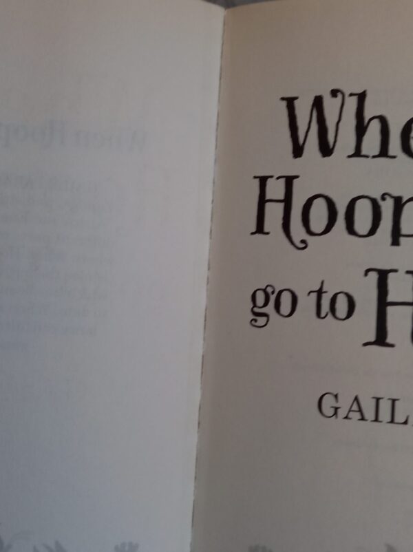 When Hoopoes Go To Heaven – Gaile Parkin secondhand book