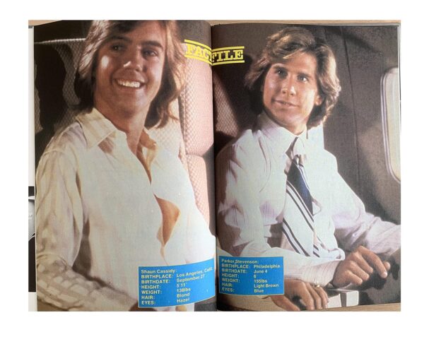 Hardy Boys/Nancy Drew Mysteries Annual