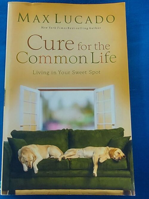 Cure For The Common Life - Max Lucado