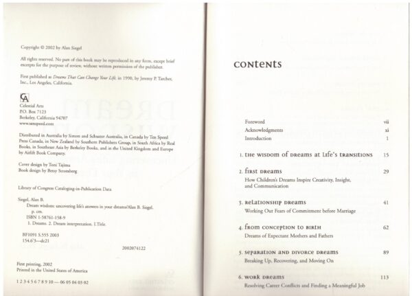 Dream Wisdom – Alan B. Siegel secondhand book