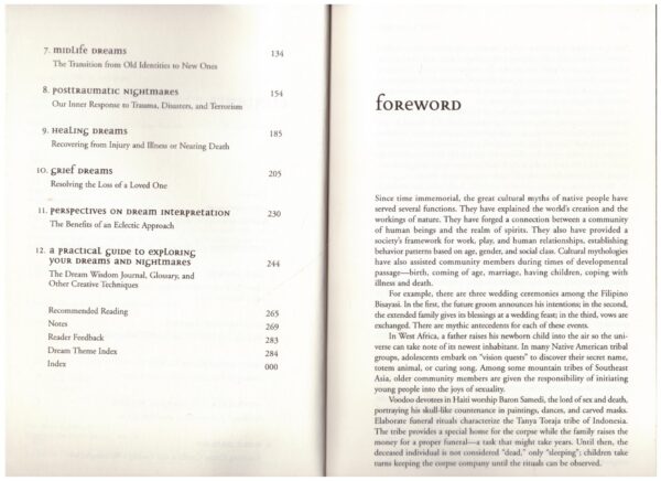 Dream Wisdom – Alan B. Siegel secondhand book