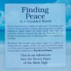 Finding Peace in a Troubled World back Finding Peace In A Troubled World - Neville Mandy