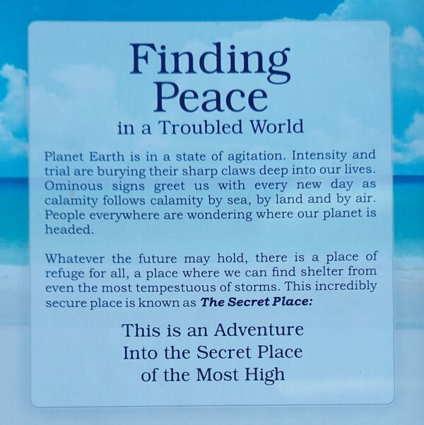 Finding Peace in a Troubled World back Finding Peace In A Troubled World - Neville Mandy