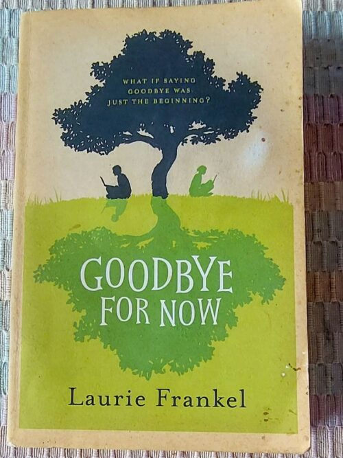 Goodbye For Now - Laurie Frankel