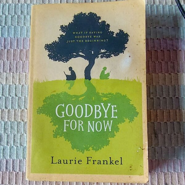 Goodbye For Now - Laurie Frankel