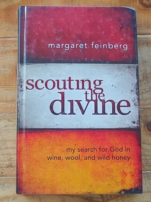 Scouting The Divine - Margaret Feinberg