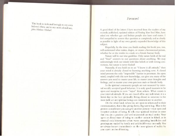The Soul Mate Book For Gay And Lesbian People – Michael secondhand book
