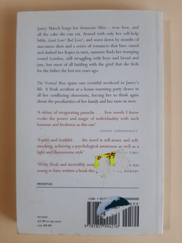 The Normal Man - Susie Boyt