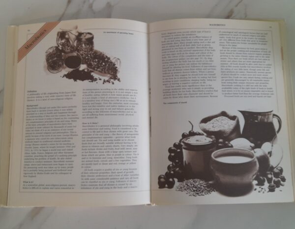 Alternative Medicine: A Guide To Natural Therapies - Andrew Stanway