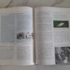 Mysteries Of The Unexplained - Reader's Digest