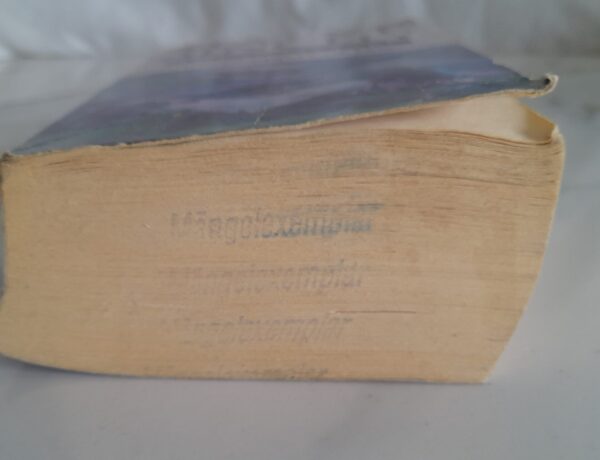 The Glass Lake - Maeve Binchy