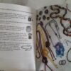 The Basics Of Bead Stringing - Debbie Kanan