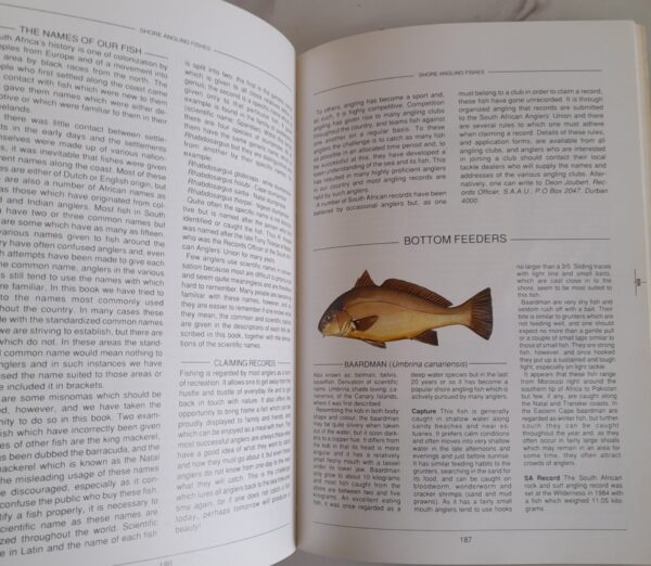 The South African Fisherman – Ivor Whibley secondhand book