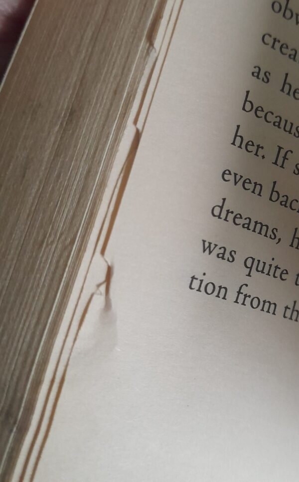 Goddess Of The Rose – P.C. Cast secondhand book