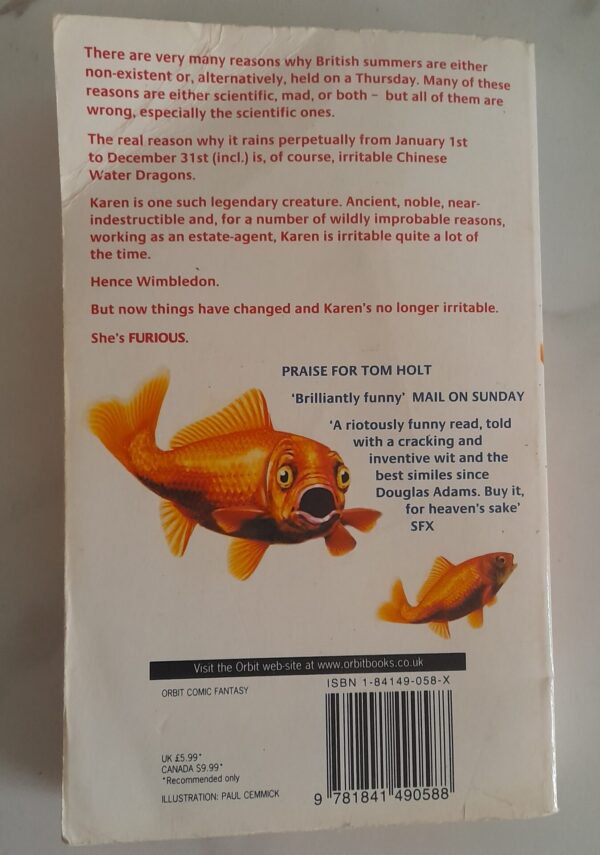 Nothing But Blue Skies – Tom Holt secondhand book