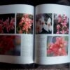 Growing Orchids - Brian and Wilma Rittershausen