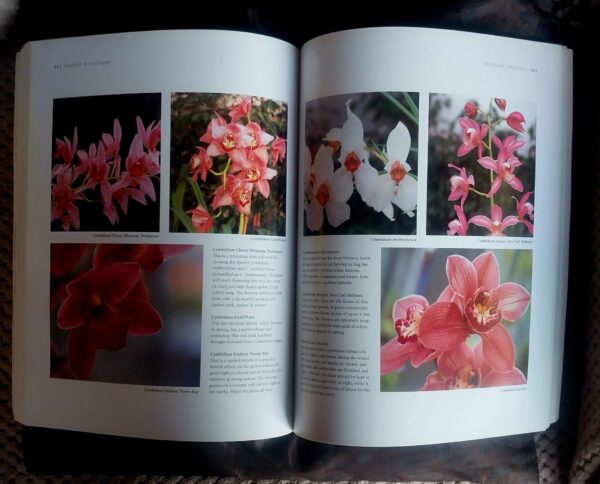 Growing Orchids - Brian and Wilma Rittershausen