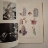 The Stapelieae Of Southern Africa / Die Stapelieae Van Suidelike Afrika - C.A. Luckhoff