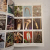 Tropica: Color Cyclopedia Of Exotic Plants And Trees - Alfred Byrd Graf