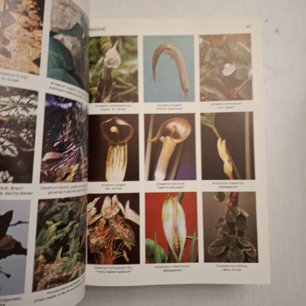 Tropica: Color Cyclopedia Of Exotic Plants And Trees - Alfred Byrd Graf