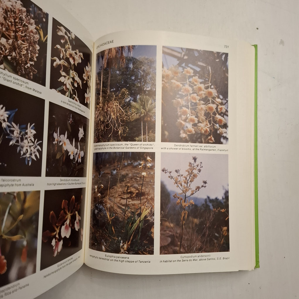 Tropica: Color Cyclopedia Of Exotic Plants And Trees - Alfred Byrd