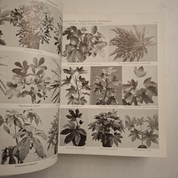 Exotica, Series 3: Pictorial Cyclopedia Of Exotic Plants - Alfred Byrd Graf
