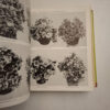 Exotica, Series 3: Pictorial Cyclopedia Of Exotic Plants - Alfred Byrd Graf