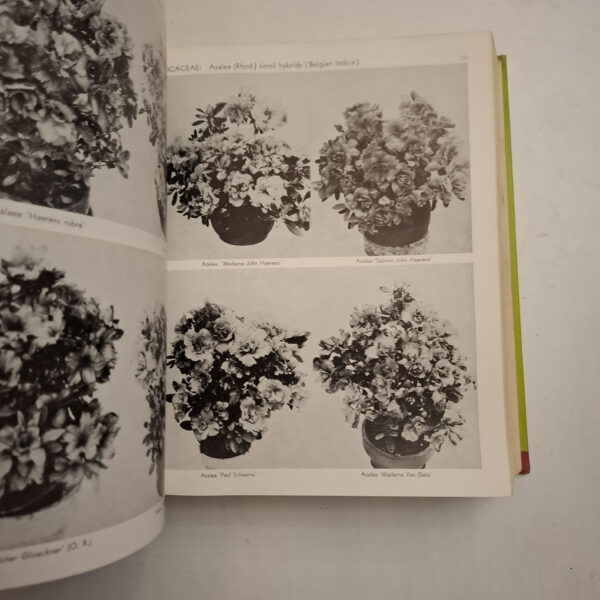 Exotica, Series 3: Pictorial Cyclopedia Of Exotic Plants - Alfred Byrd Graf