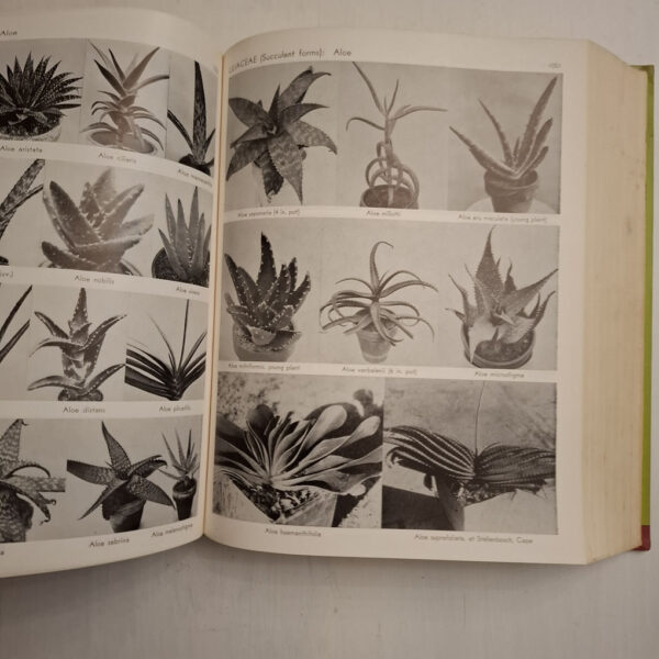 Exotica, Series 3: Pictorial Cyclopedia Of Exotic Plants - Alfred Byrd Graf